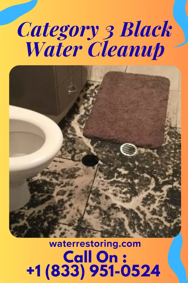 Category 3 Black Water Cleanup in Beaufort, NC