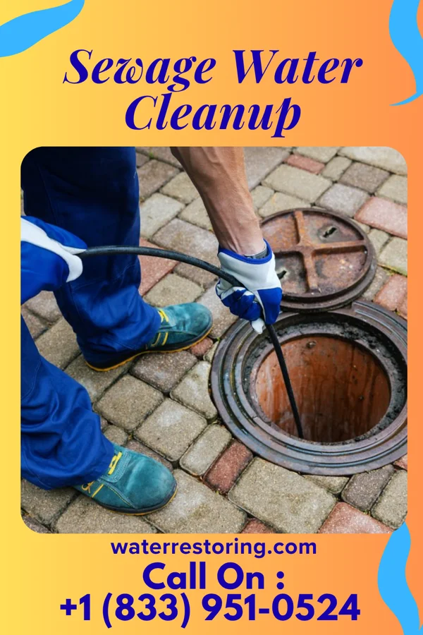 Sewage Water Cleanup in Beaufort, NC
